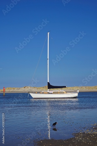 sailing yacht anchor in shallow water, sunny blue sky, oystercatcher in front, portrait.