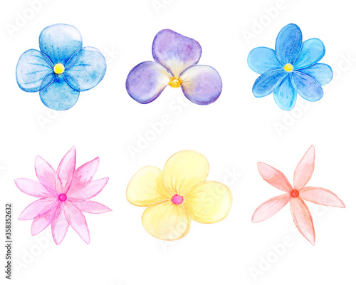 Watercolor set of cute flowers, leaves and branches. Colorful summer flowers for design on white background. Watercolor floral collection. Big Set watercolor elements - wildflowers, herbs, leaves