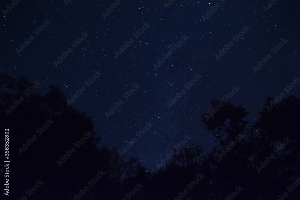 Fototapeta 日本の長野にある日本一星空が見える場所 阿智村で撮影した満点の星空 Naklejamy Com