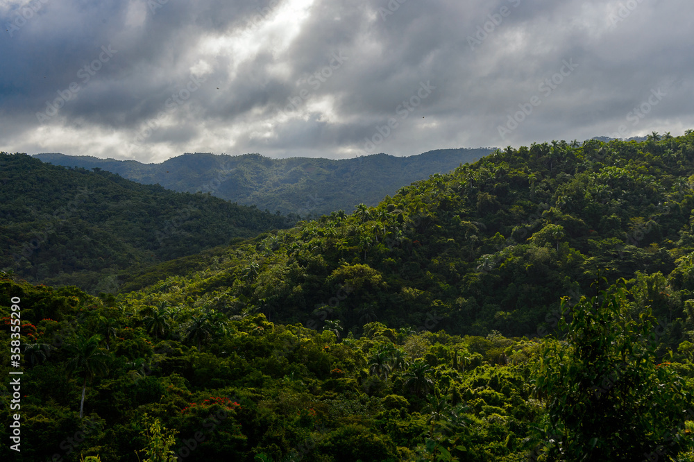 Nature of the Topes de Collantes, a nature reserve park in the Escambray Mountains range in Cuba.