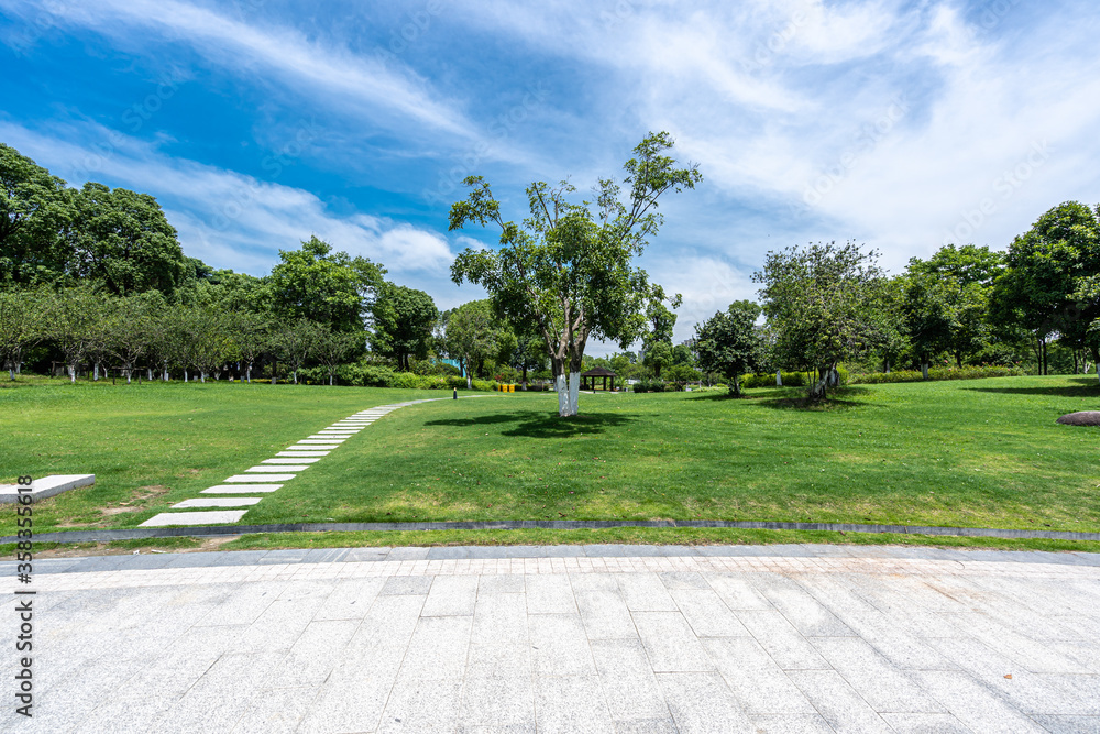 Fototapeta premium droga w parku