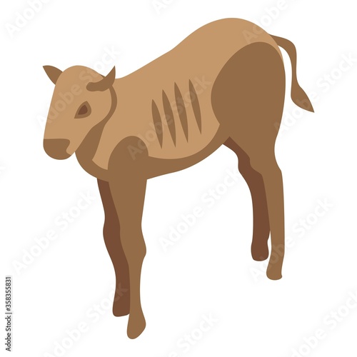 African wildebeest icon. Isometric of african wildebeest vector icon for web design isolated on white background