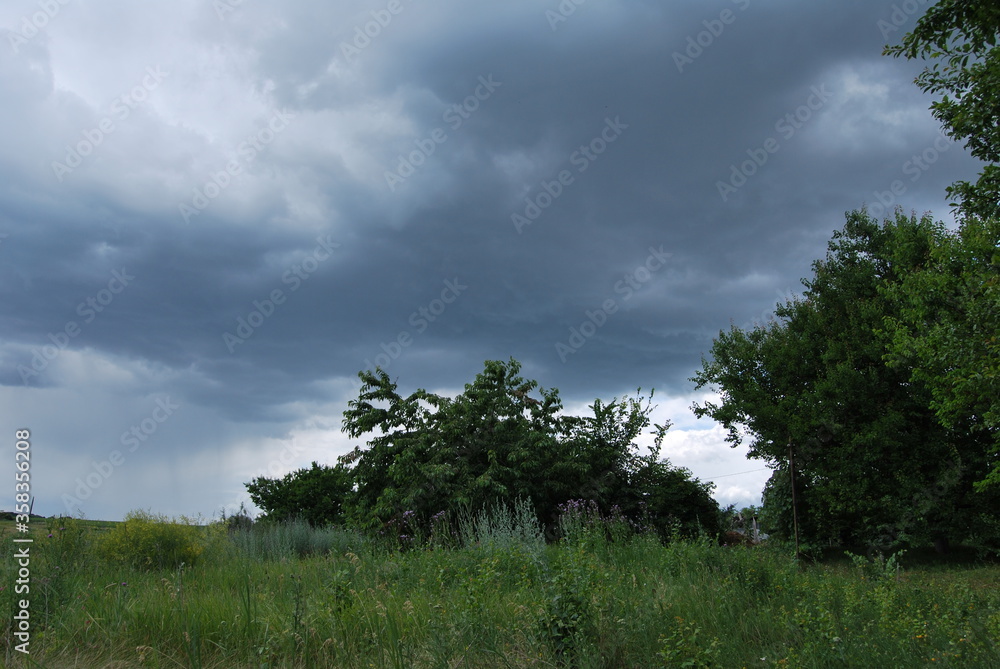Obraz premium clouds over the forest