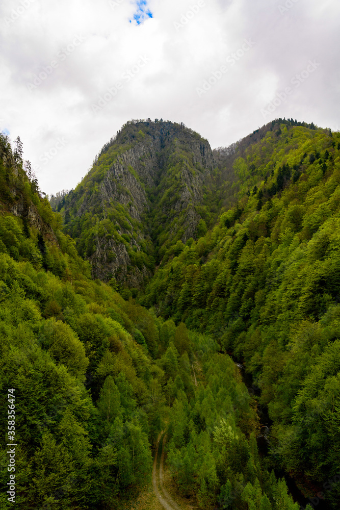 Beautiful landscape of the green mountain hills of Romania Beautiful landscape of the green mountain hills of Romania