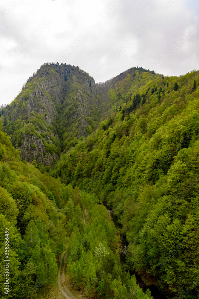 Beautiful landscape of the green mountain hills  of Romania
