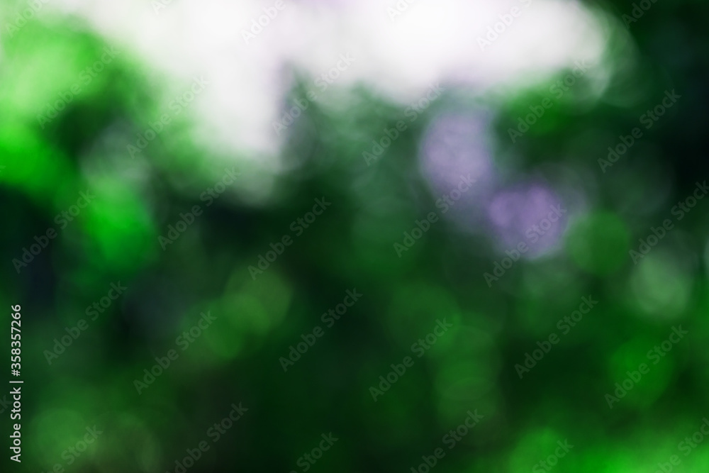 Obraz premium green bokeh background