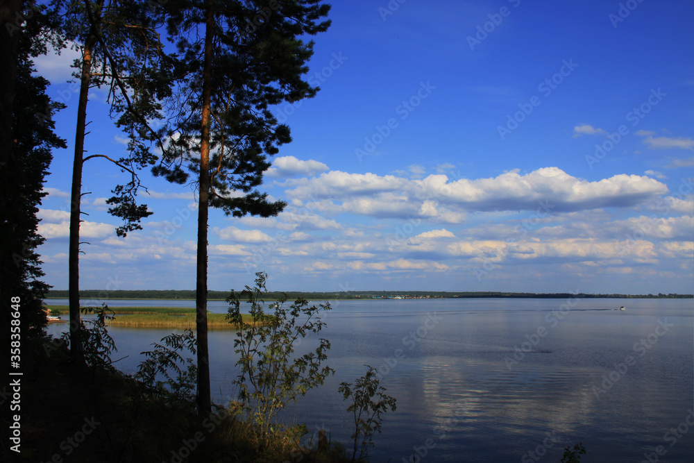 Landscape with white cumulus clouds on a blue sky above the lake and pines