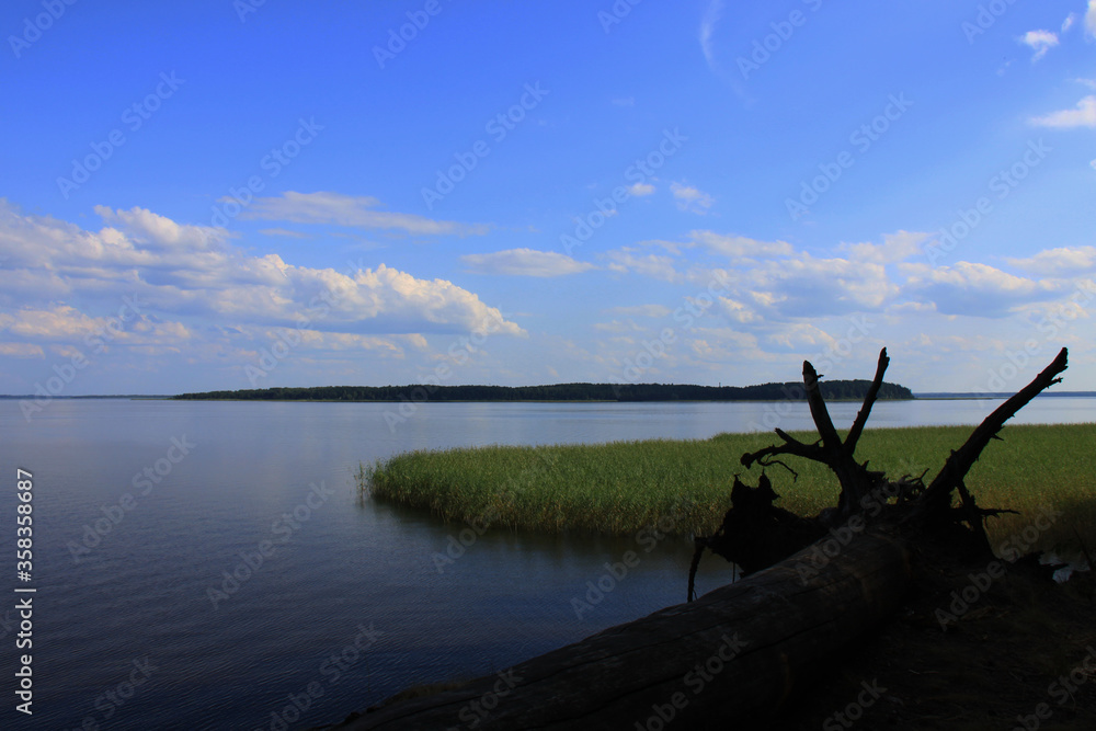 Landscape with a lake, white clouds on a blue sky and a fallen tree Landscape with a lake, white clouds on a blue sky and a fallen tree