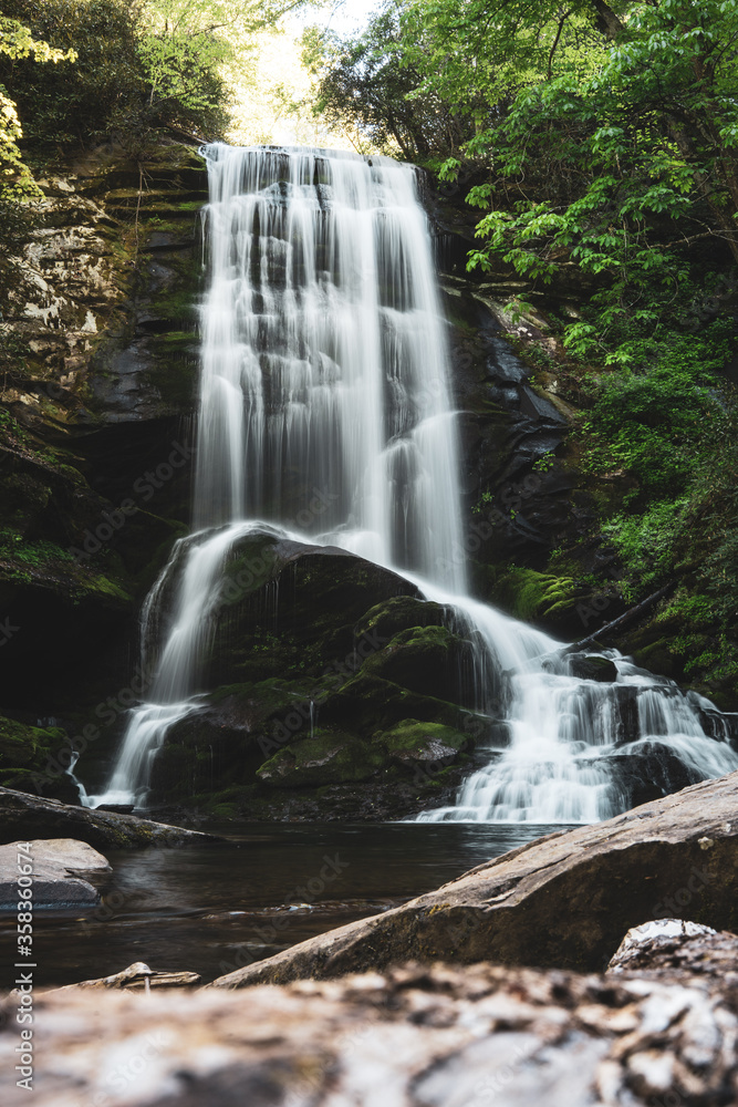 Obraz premium waterfall in the forest