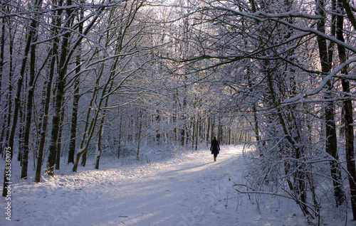 Wallpaper Mural Silhouette of a woman with coat, walking in a snowy forest on a cold winter day with sun Torontodigital.ca