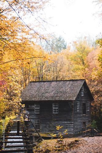 Old house in autumn forest