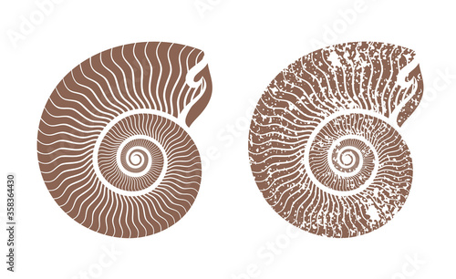 seashell nautilus vector icon illustration