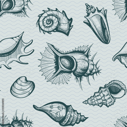 seamless seashell pattern vintage style vector illustration