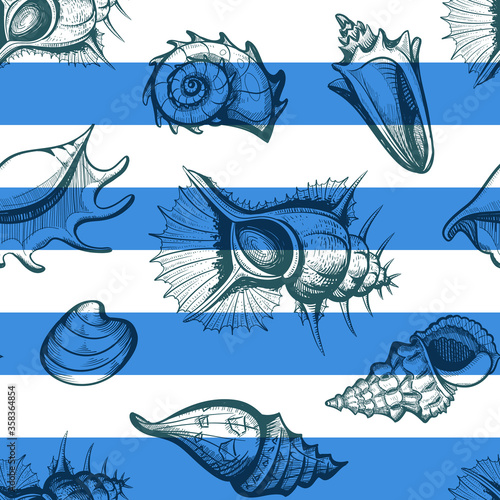 seamless seashell and crab hermit with stripes sketchy pattern vintage vector il Fototapet