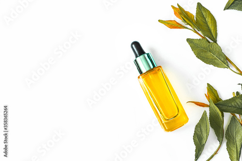 Glass bottle with cosmetic essential oil  fresh green branches and leaves isolated on white background. Organic natural product. Flat lay  top view. Copy space.