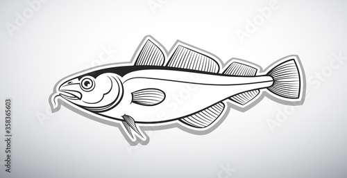 cod fish outline vector illustration