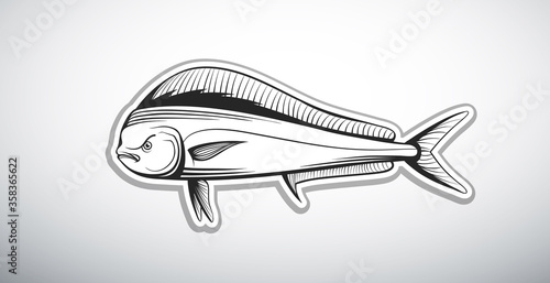 dolphin fish outline vector illustration
