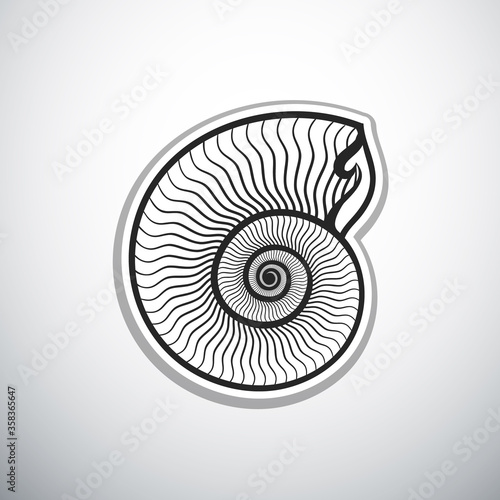 seashell nautilus outline vector illustration
