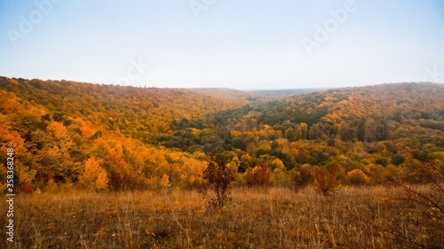 mountain forest with green, yellow and orange autumn leaves, nature masterpiece on cloudy and misty October morning, ecotourism active rest concept, free space header