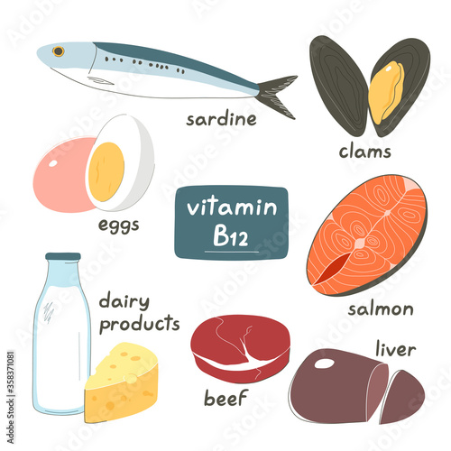 Foods high in b12 vitamin