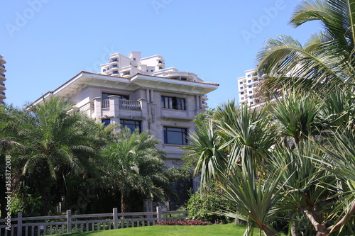 palm trees in front of a house