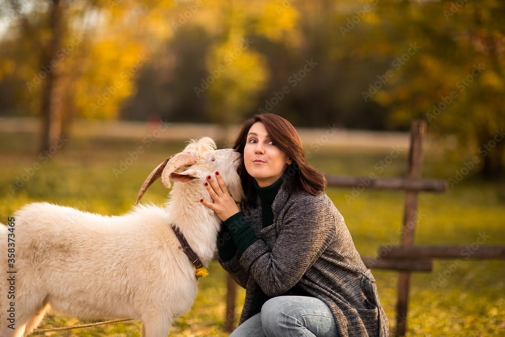 Young woman playing with white goat on a pumpkin's farm.Autumn background. Young woman playing with white goat on a pumpkin's farm.Autumn background.