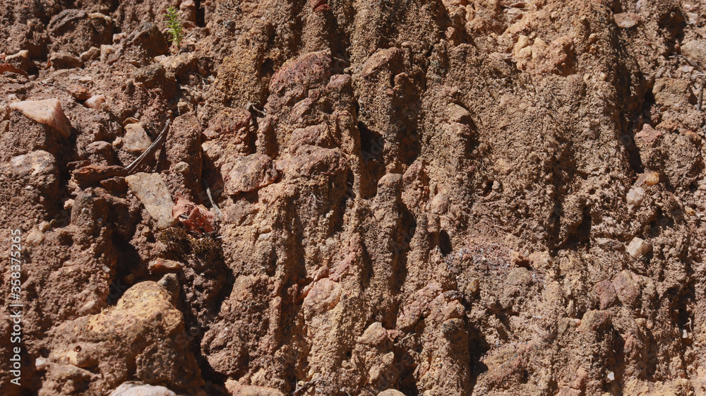 A closeup of a cut of soil. Texture. Background. A closeup of a cut of soil. Texture. Background.