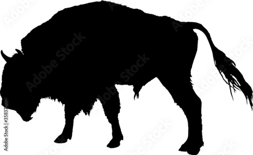 Vector illustration of buffalo silhouette over white background