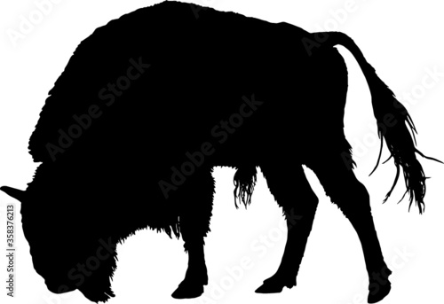 Vector illustration of buffalo silhouette over white background