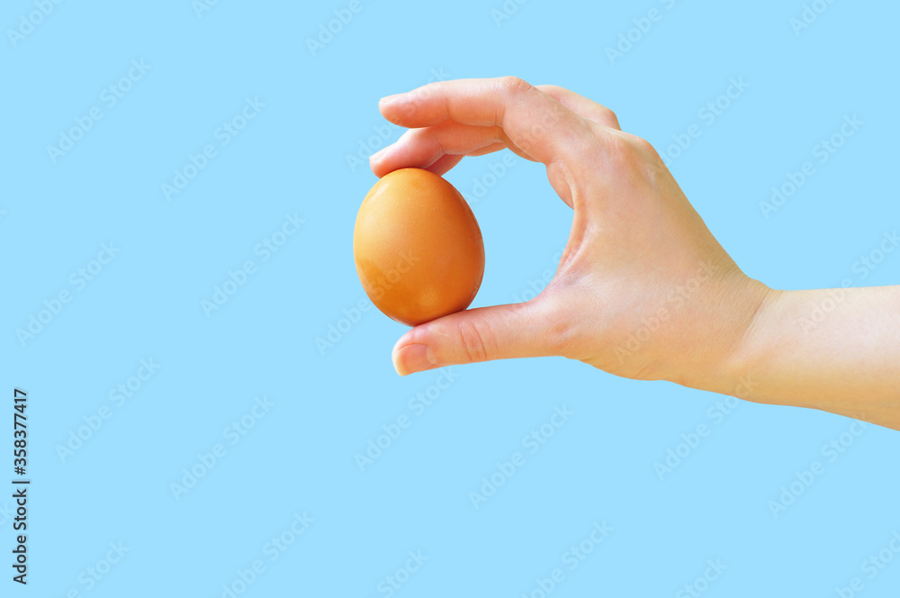Chicken egg in the hand. Hand holds an egg. Blue background. Chicken egg in the hand. Hand holds an egg. Blue background.