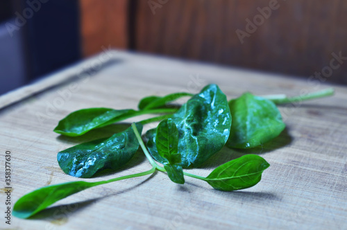 Fresh spinach leaves. Spinach Salad. .