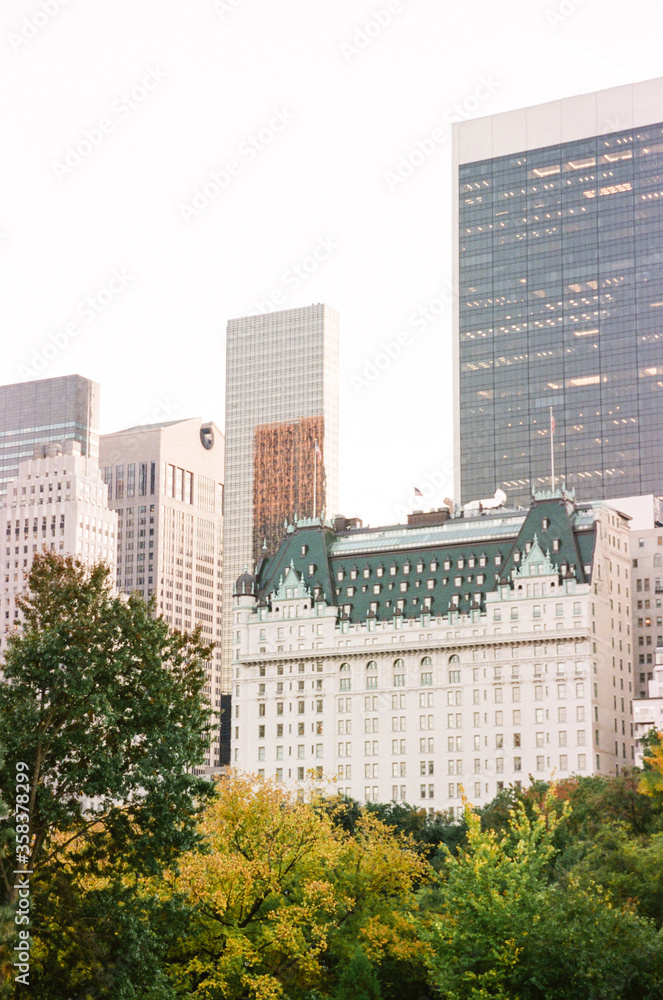 A vignette of Central Park and iconic Plaza Hotel Building in the background A vignette of Central Park and iconic Plaza Hotel Building in the background