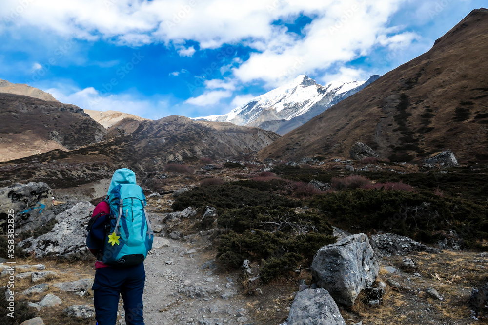 A woman with a big backpack trekking along Annapurna Circus in Himalayas, Nepal, with the view on Annapurna Chain. Dry and desolated landscape. High, snow capped mountain peaks. Happiness and freedom