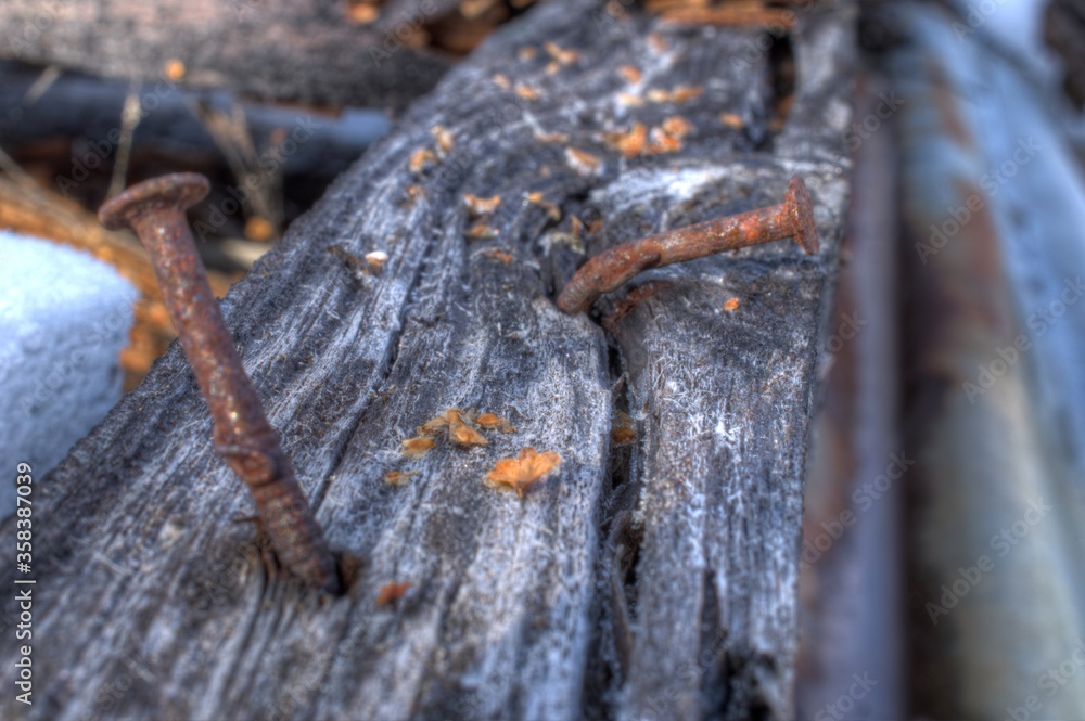 old weathered tree log with rusted old nails macro old weathered tree log with rusted old nails macro