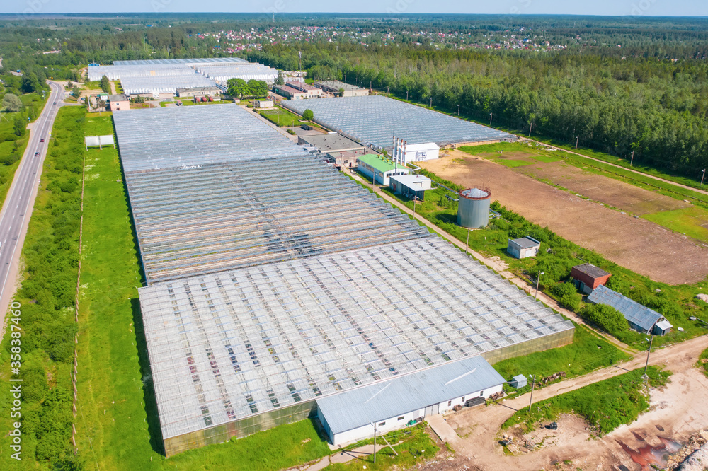 Panoramic aerial view of the large glass greenhouse for the cultivation of vegetable crops and flowers.