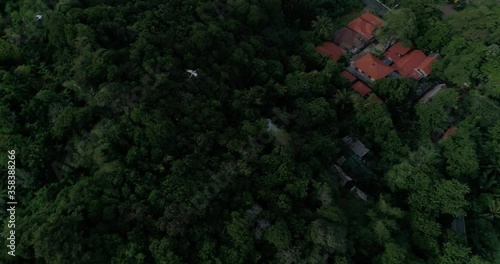 birds fly slowly, soar above the shore with a beach and forest. rooftops visible
