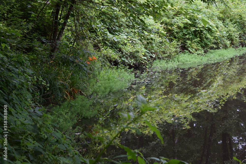 Obraz premium The park reflected upon the pond below