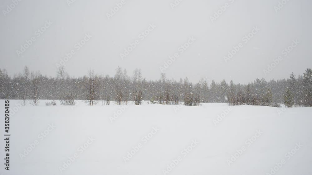 snowfall over winter field and forest in northern Norway snowfall over winter field and forest in northern Norway