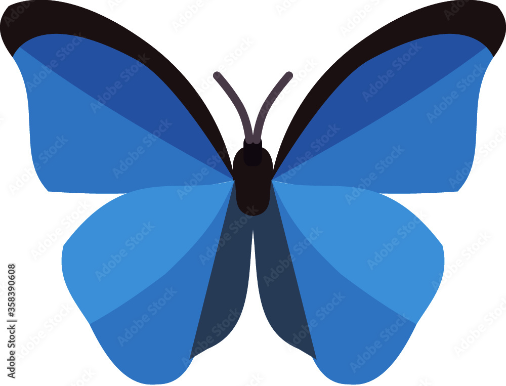 Butterfly Icon Vector Butterfly Icon Vector
