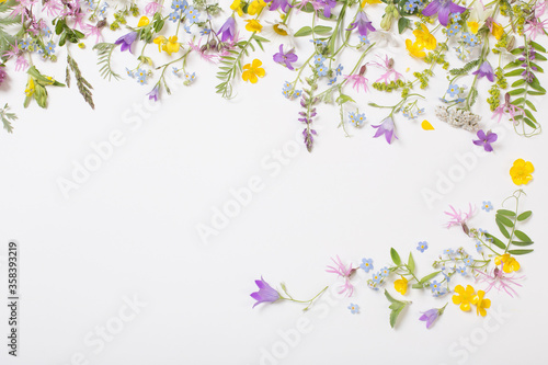 beautiful wild flowers on white background