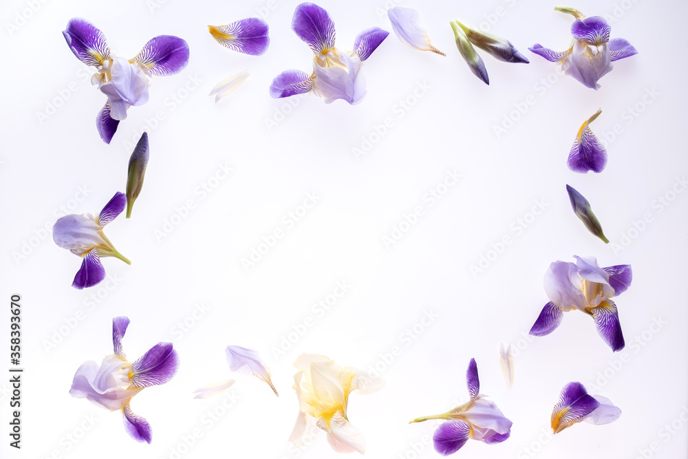 Frame made of purple iris flowers on white background. Flat lay, top view. Floral background Frame made of purple iris flowers on white background. Flat lay, top view. Floral background