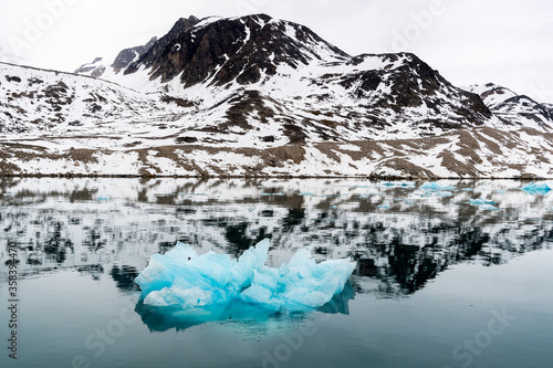 Ice piece in Arctic