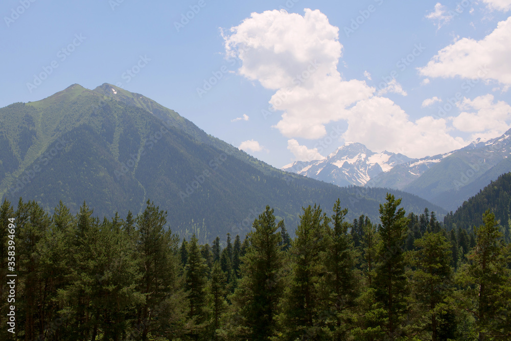 Mountain landscape on a Sunny day in summer. In the foreground green pines