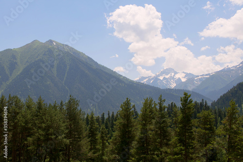Mountain landscape on a Sunny day in summer. In the foreground green pines