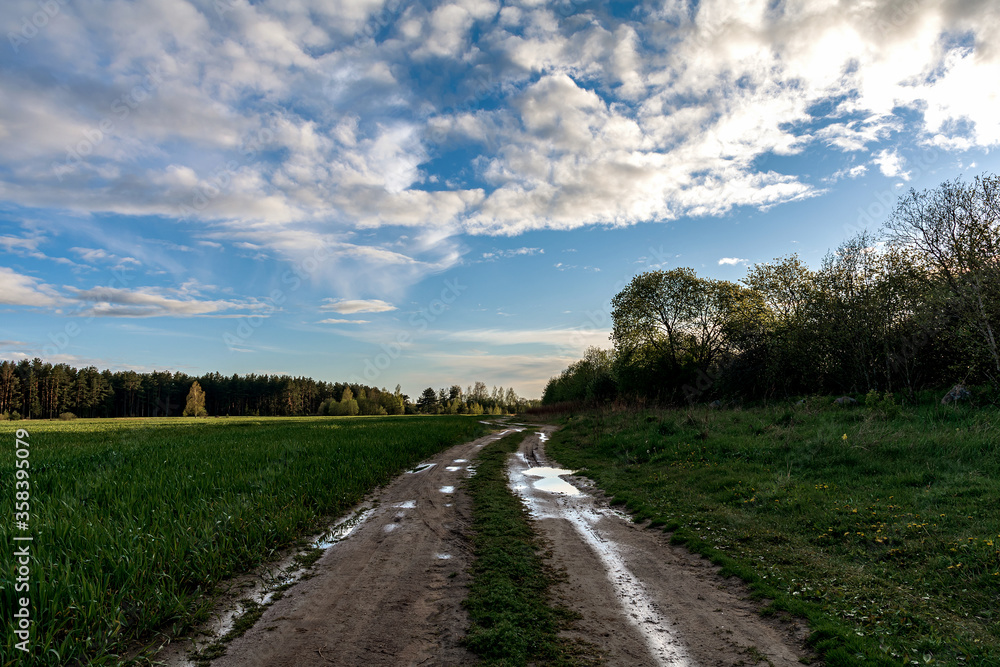Rural road after rain, Pskov region, Russia