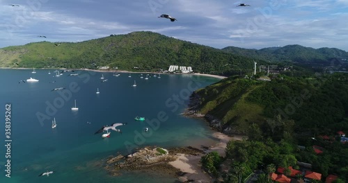 flock of birds over the bay with yachts. hilly coast with a wind farm. seen beach, coast, forest on the shore
