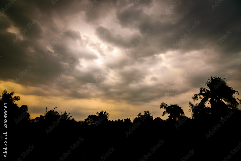 A silhouette of trees with orange sky full of dark clouds above. Calmness before the storm