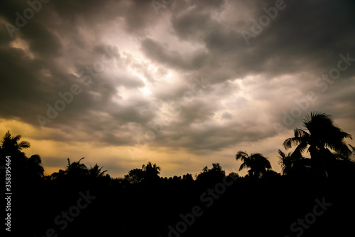 Fototapeta Naklejka Na Ścianę i Meble -  A silhouette of trees with orange sky full of dark clouds above. Calmness before the storm