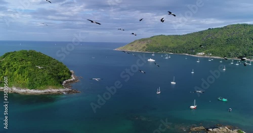 a flock of birds over the island in the bay, yachts are visible in the bay, part of the coast with a forest, along the coast of the road and buildings. Birds fly slowly. Sky in the clouds
