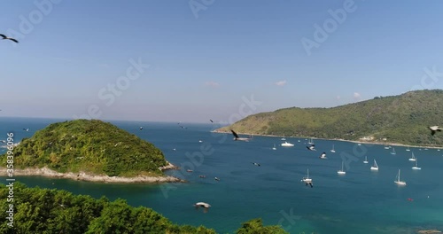 Panoramic view of the bay with yachts, a hill with a water park, a forest. A flock of birds flies over him. Birds fly near the drone, seen closeup